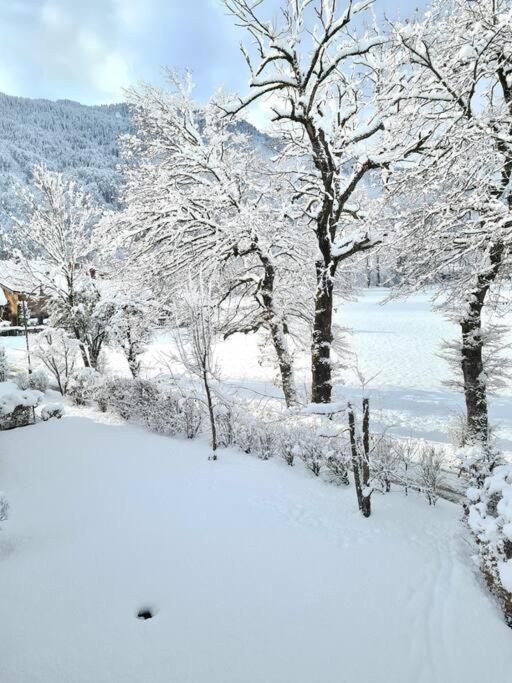 Appartement Le D12 Samoens Bagian luar foto