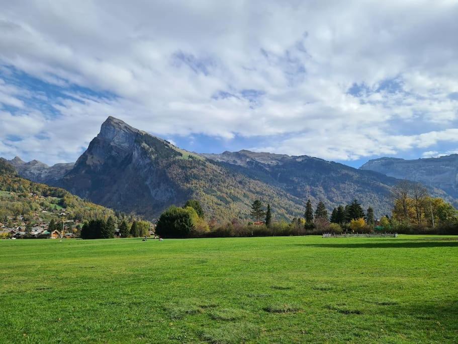 Appartement Le D12 Samoens Bagian luar foto